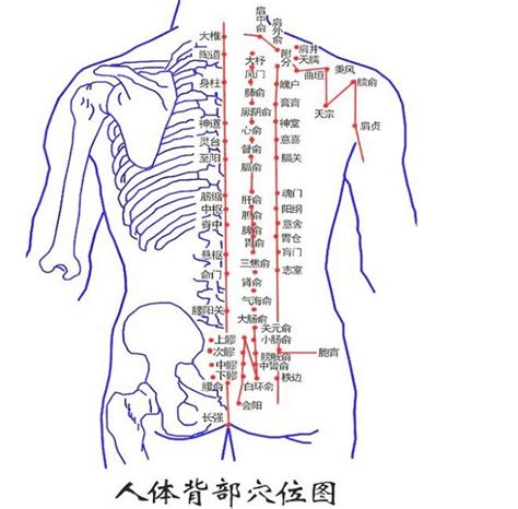 背部痣吉凶|有痣在背，長壽富貴！背上各部位痣相命理詳解